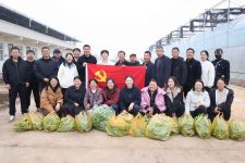 &ldquo;椒&rdquo;傲收成，党建同业&mdash;&mdash;集团直属第一、第二党支部主题党日活动圆满发展